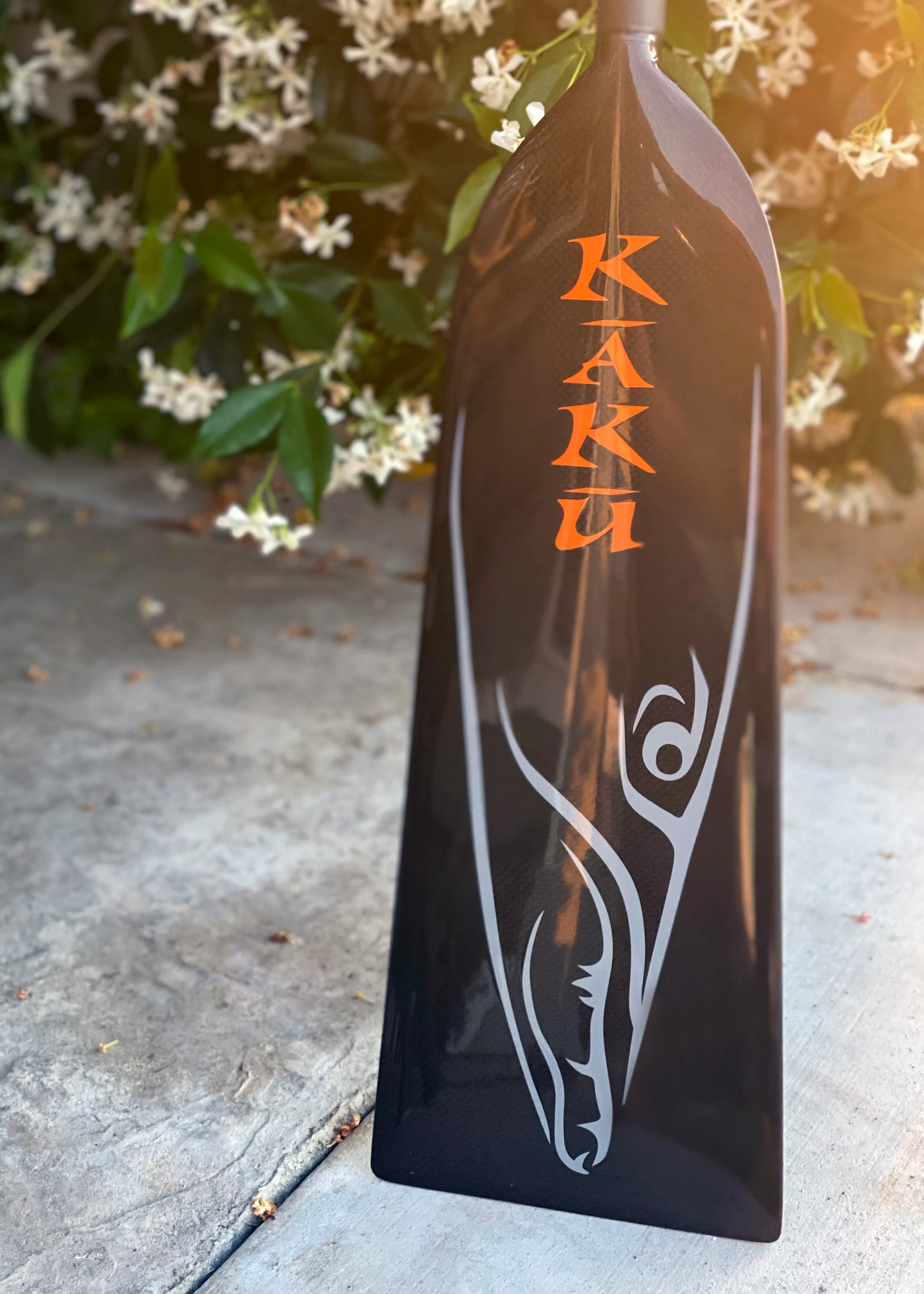 Kaku Carbon Dragon Boat Paddle